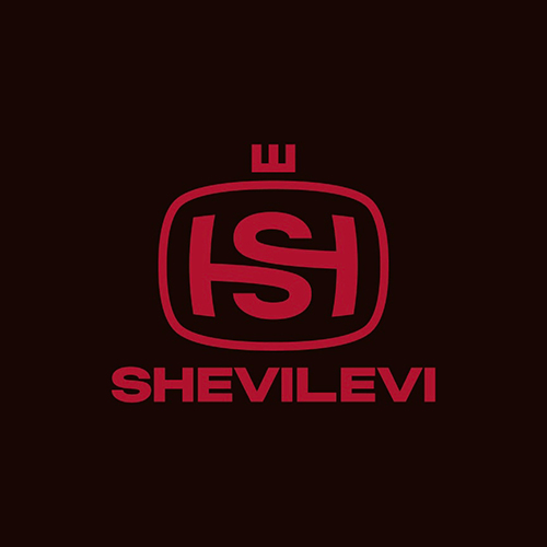 Кепки с корпоративной символикой для Shevilevi