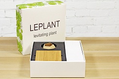 Левитирующая канадская Ель - фото 4