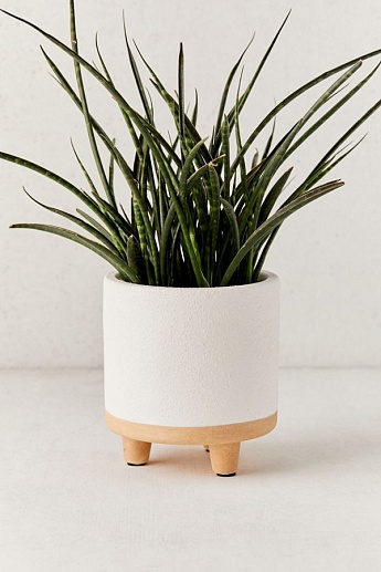 Декоративный горшок для растений  Footed Planter- фото 1