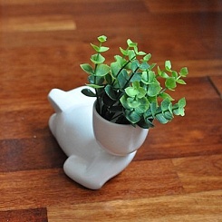 Набор для выращивания "Eco-Лентяй" - фото 4