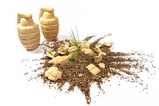 Цветочные гранаты- фото 1