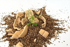 Цветочные гранаты - фото 3