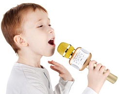 Микрофон для караоке Magic D95 - фото 9