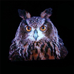 Светодиодный 3D проектор - фото 2