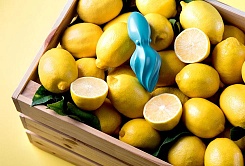 Соковыжималка OCTO Citrus Reamer - фото 4