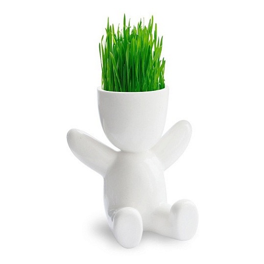 Набор для выращивания "Eco-Funky"- фото 1