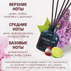 Ароматический диффузор Amore Lab - фото 2