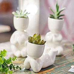 Набор для выращивания "Eco-Мечтатель" - фото 6