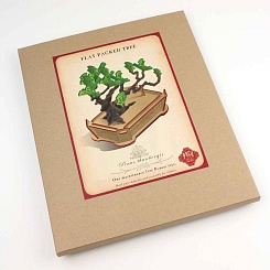 Конструктор для моделирования дерева Бонсай - фото 4