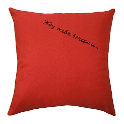 Подушка со смываемыми надписями - фото 5