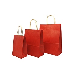 Цветной крафтовый пакет - фото 3