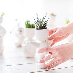 Набор для выращивания "Eco-Танцор" - фото 6