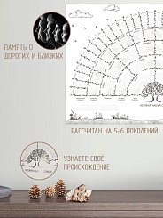 Плакат «Семейное древо» - фото 3