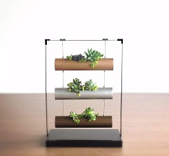 Подвесные горшки для выращивания суккулентов SOMMERLAND - фото 2