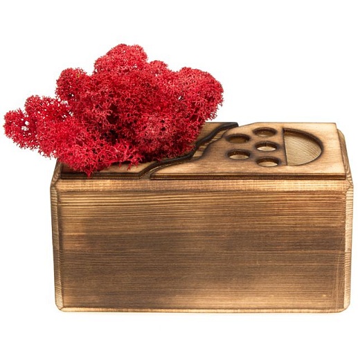 Живая подставка Green- фото 1