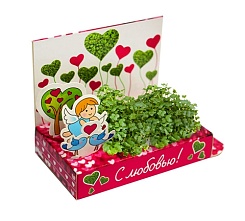 Живая открытка - фото 2