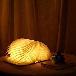 Книга-светильник Book Lamp - фото 3