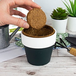 Растение для лечения храпа Grow it - фото 2