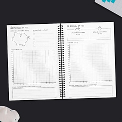 Дневник бюджета - фото 4