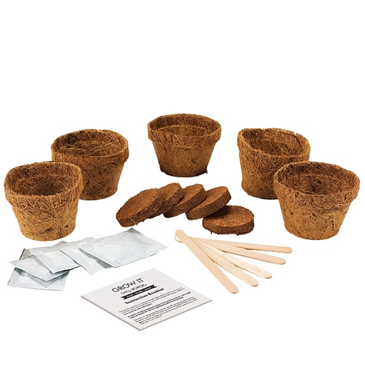 Набор для выращивания чили Grow It- фото 1