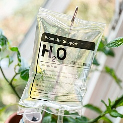 Капельница для полива растений «H2O» - фото 2