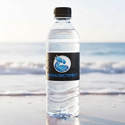 Вода с логотипом - фото 2