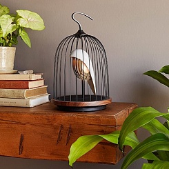 Bluetooth-динамик "Птица в клетке" - фото 2