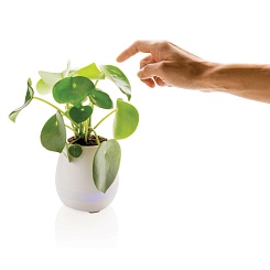 Цветочный горшок со встроенной колонкой - изображение 2 Цветочный горшок со встроенной колонкой - фото 2