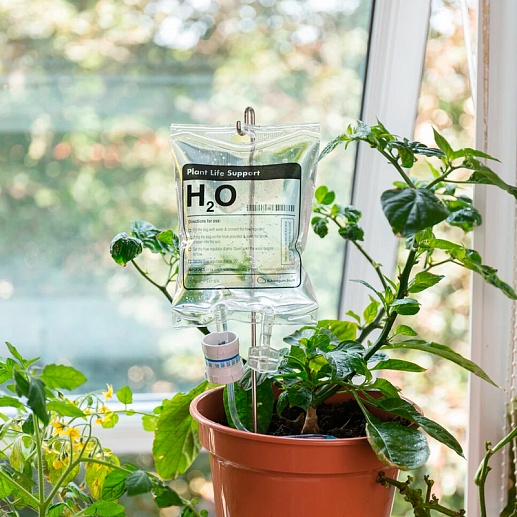 Капельница для полива растений «H2O»- фото 1