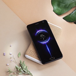 Беспроводное зарядное устройство Eco Power - фото 6