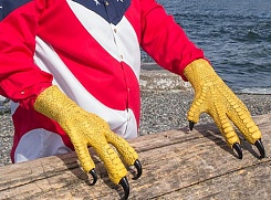 Когти орла - фото 2