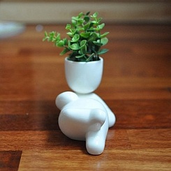 Набор для выращивания "Eco-Лентяй" - фото 3