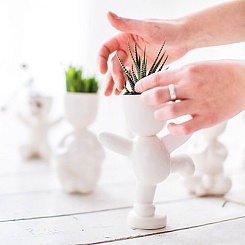 Набор для выращивания "Eco-Танцор" - фото 5