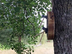 Игра "Дартс для викингов" - изображение 2 Игра "Дартс для викингов" - фото 2