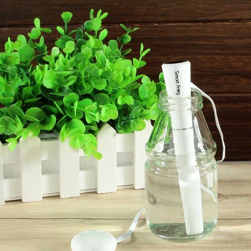 Мини-увлажнитель Smart Frog- фото 1