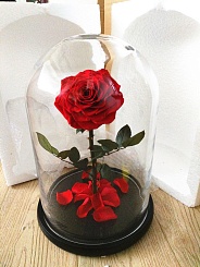 Светильник Beauty & the Beast Enchanted Rose - фото 6