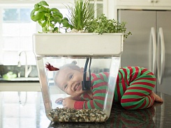 Акваферма AquaFarm - фото 3