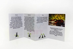 Муравьиная ферма Ant Space - фото 5