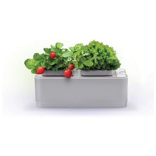 Смарт-сад iGarden с электронным контролем уровня воды- фото 1