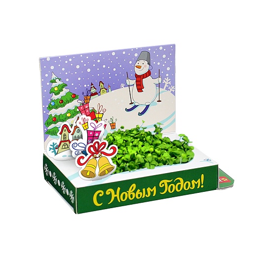 Подарочный набор для выращивания "Счастья в Новом году"- фото 1