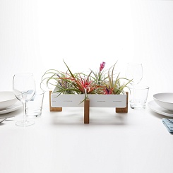 Рамка для суккулентов AirPlant - фото 7