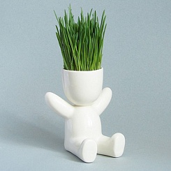 Набор для выращивания "Eco-Funky" - фото 2