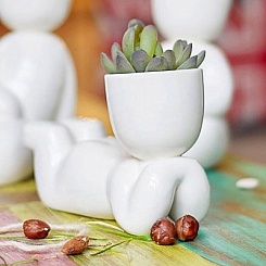 Набор для выращивания "Eco-Мечтатель" - фото 2