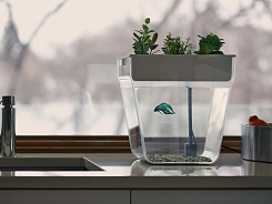 Акваферма AquaFarm - фото 4