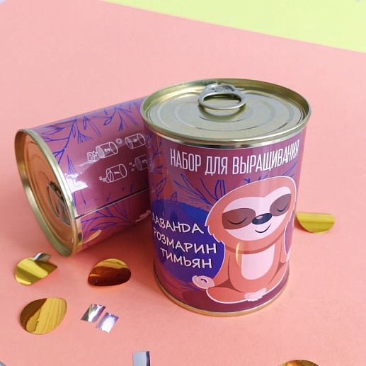 Растение в банке "Лаванда, розмарин, тимьян" - фото 1
