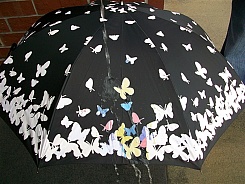 Зонт "Хамелеон" - фото 6