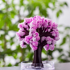 Волшебное дерево Сакура - фото 5