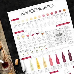 Постер "Винографика" - фото 2