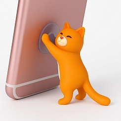 Прилипалы - изображение 4 Прилипалы - фото 4