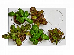 Акваферма AquaFarm - фото 7